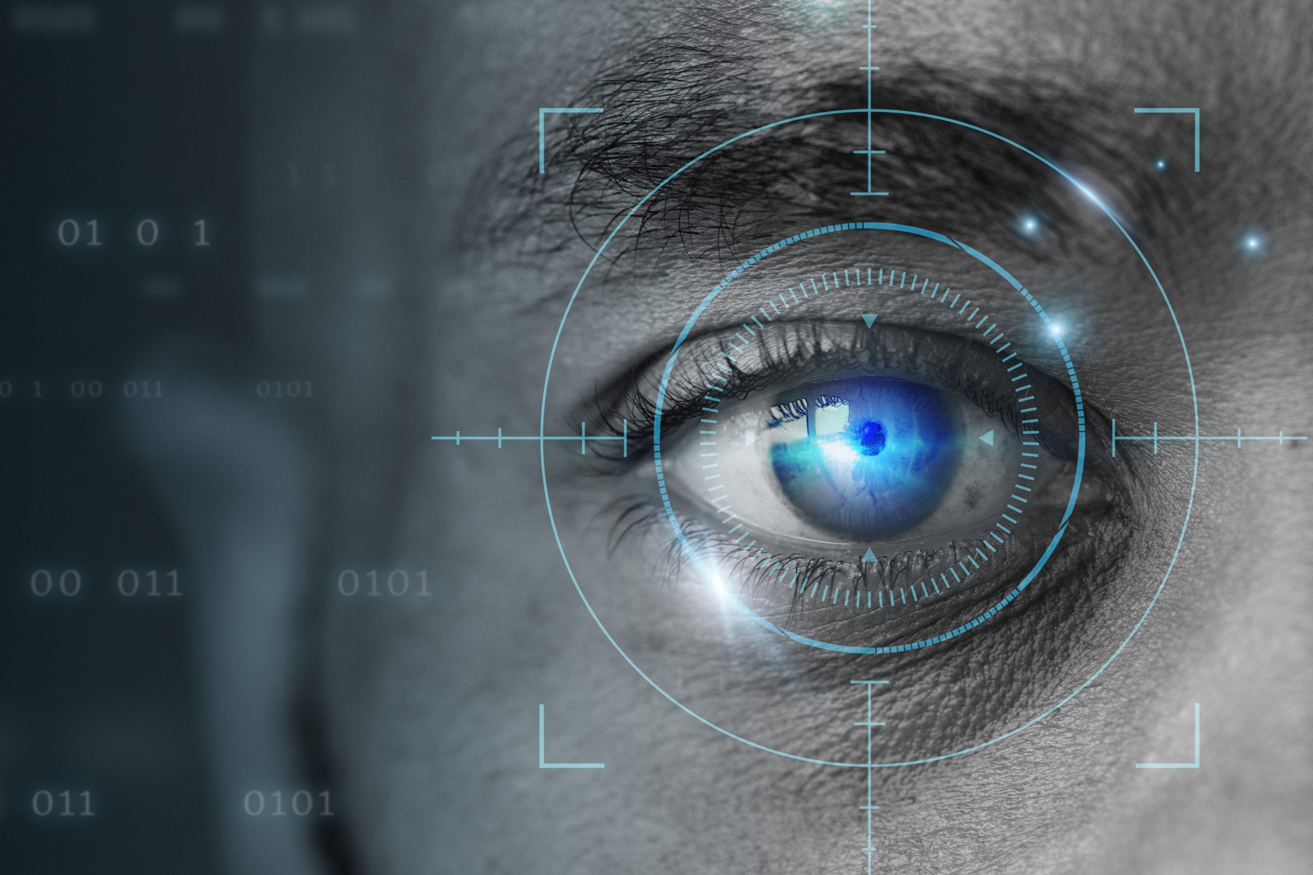 Biometric Security Systems