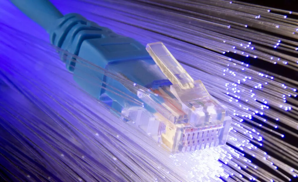Close-up of fiber optic cables